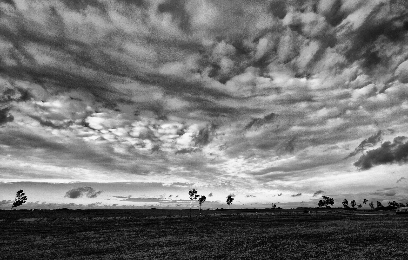 wolken und bäume ...