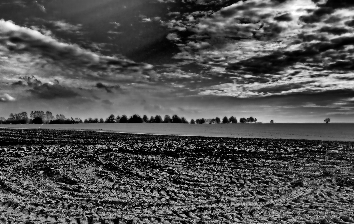 wolken und bäume ..