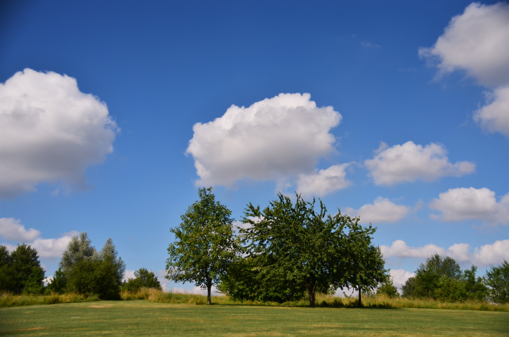 Wolken und Bäume...Umgebung Bad Camberg