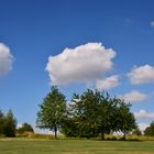 Wolken und Bäume...Umgebung Bad Camberg