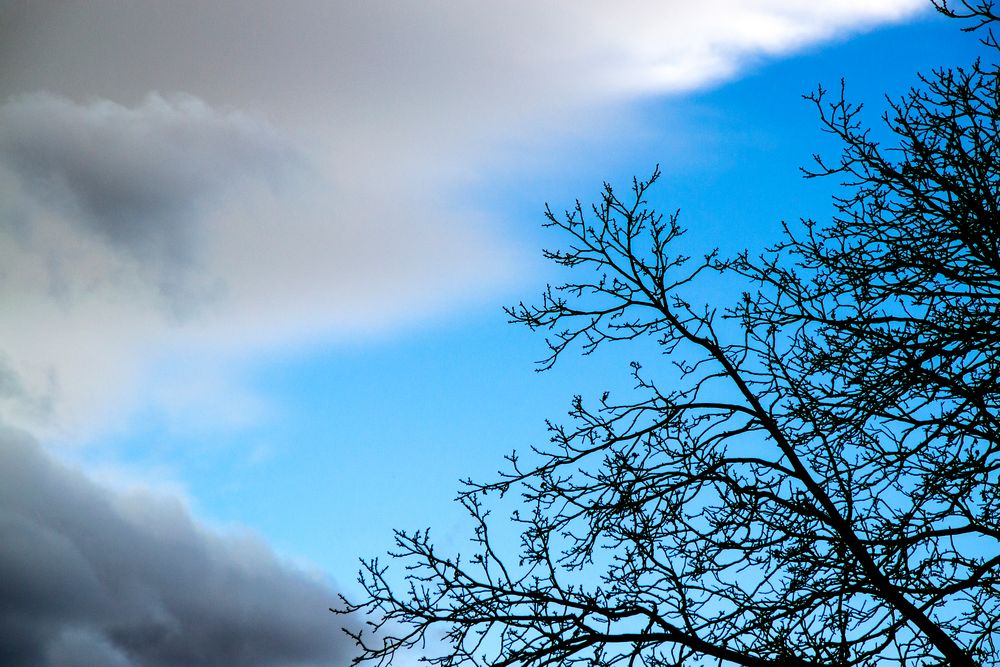 Wolken und Baum