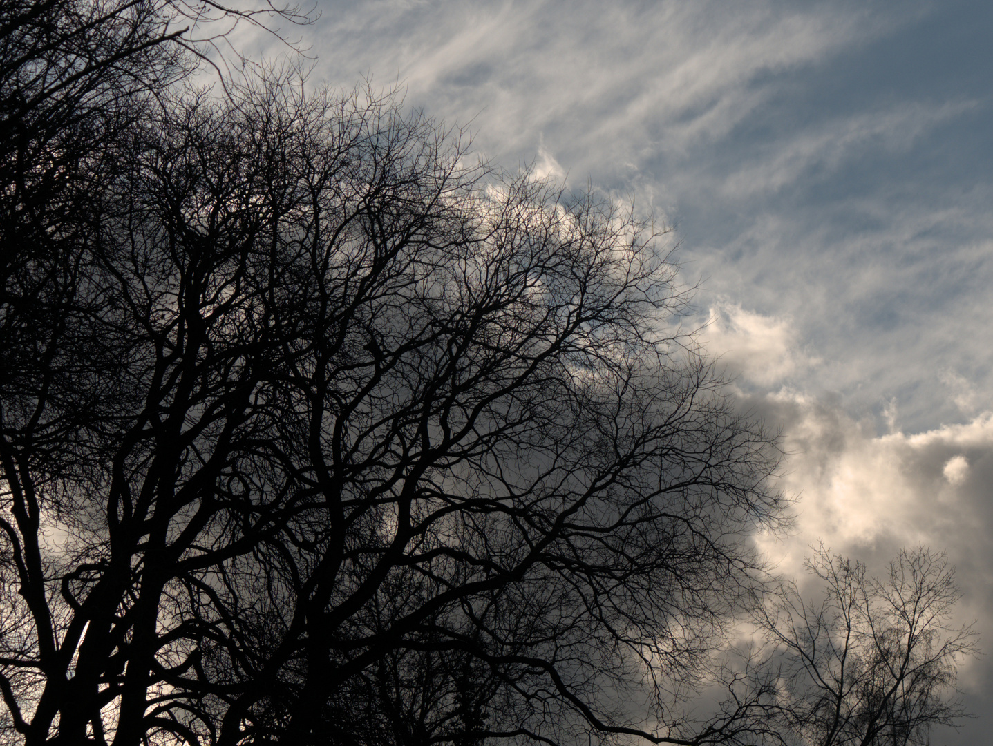 Wolken und Baum