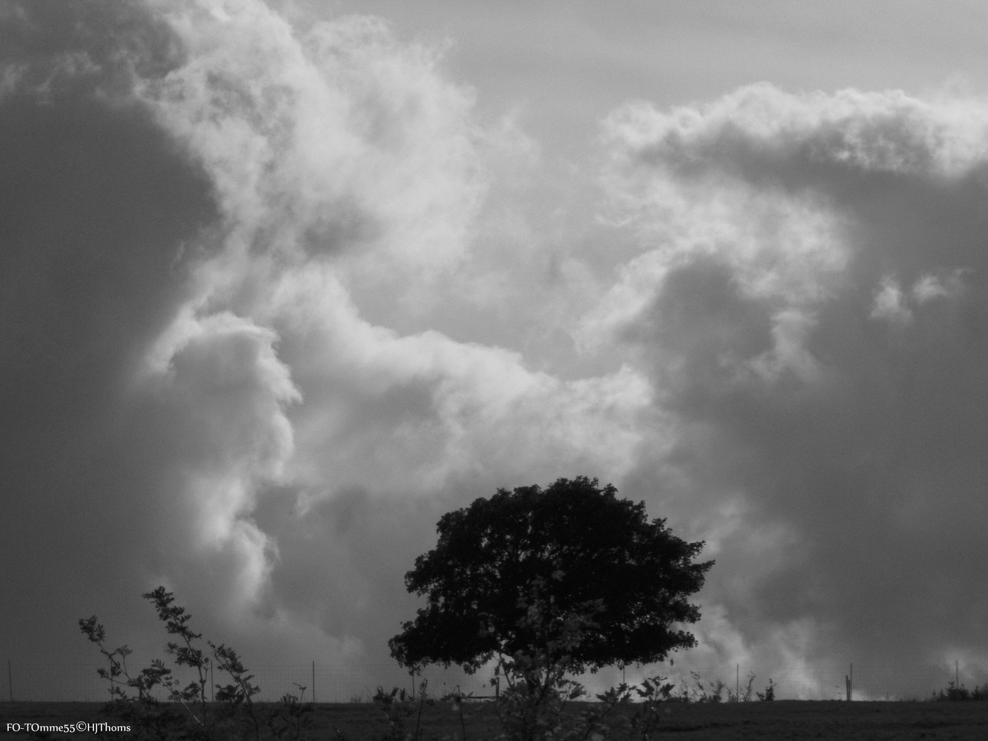 Wolken und Baum