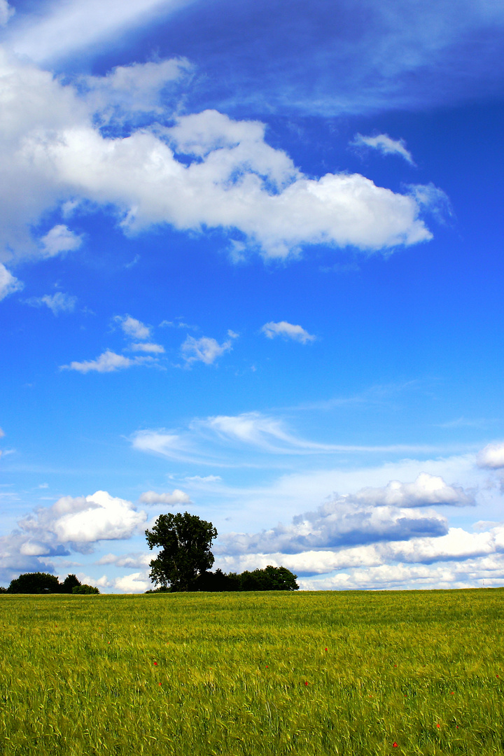 Wolken und Feld