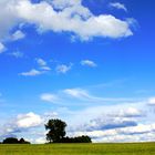 Wolken und Feld