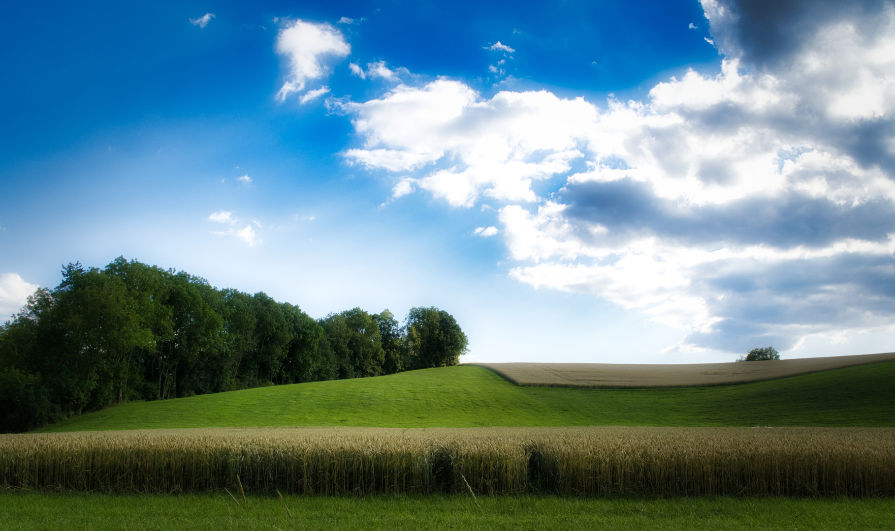 Wolken und Felder im Sommer