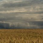 Wolken und Getreide