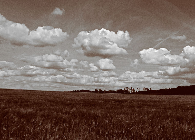 Wolken-und-Gras