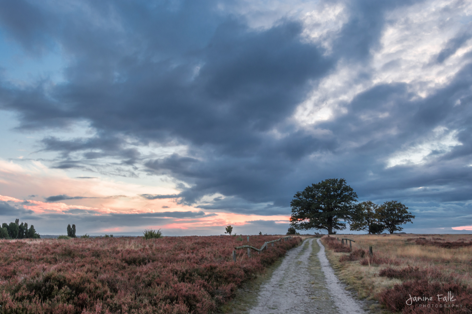 Wolken und Heide