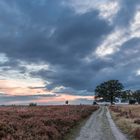 Wolken und Heide