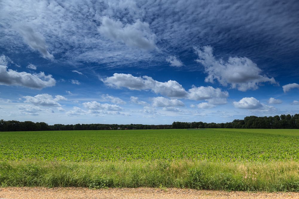 Wolken und Landschaft im südlichen Emsland von Charly Hotel 