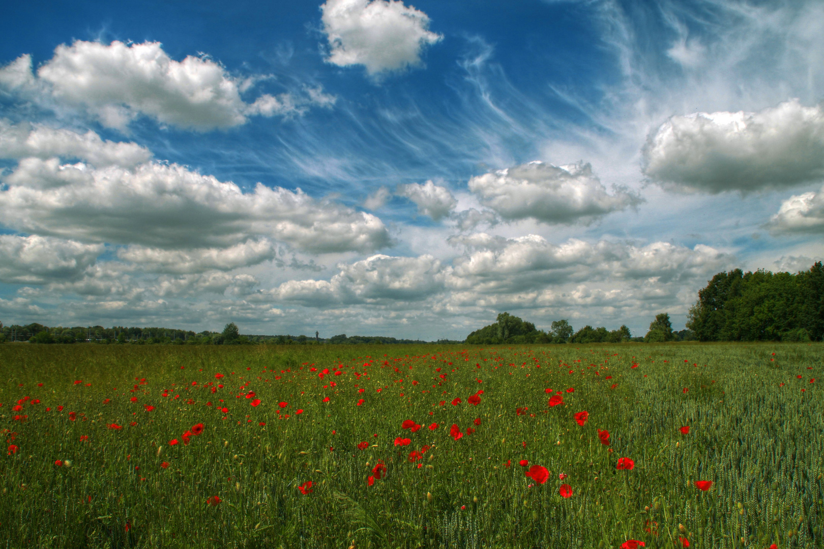 Wolken und Mohn