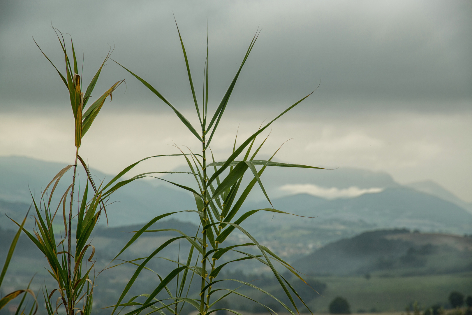 Wolken und Nebel ueber dem Land