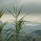 Wolken und Nebel ueber dem Land