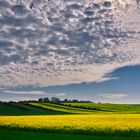 Wolken und Raps