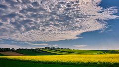 Wolken und Raps