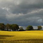 Wolken und Raps