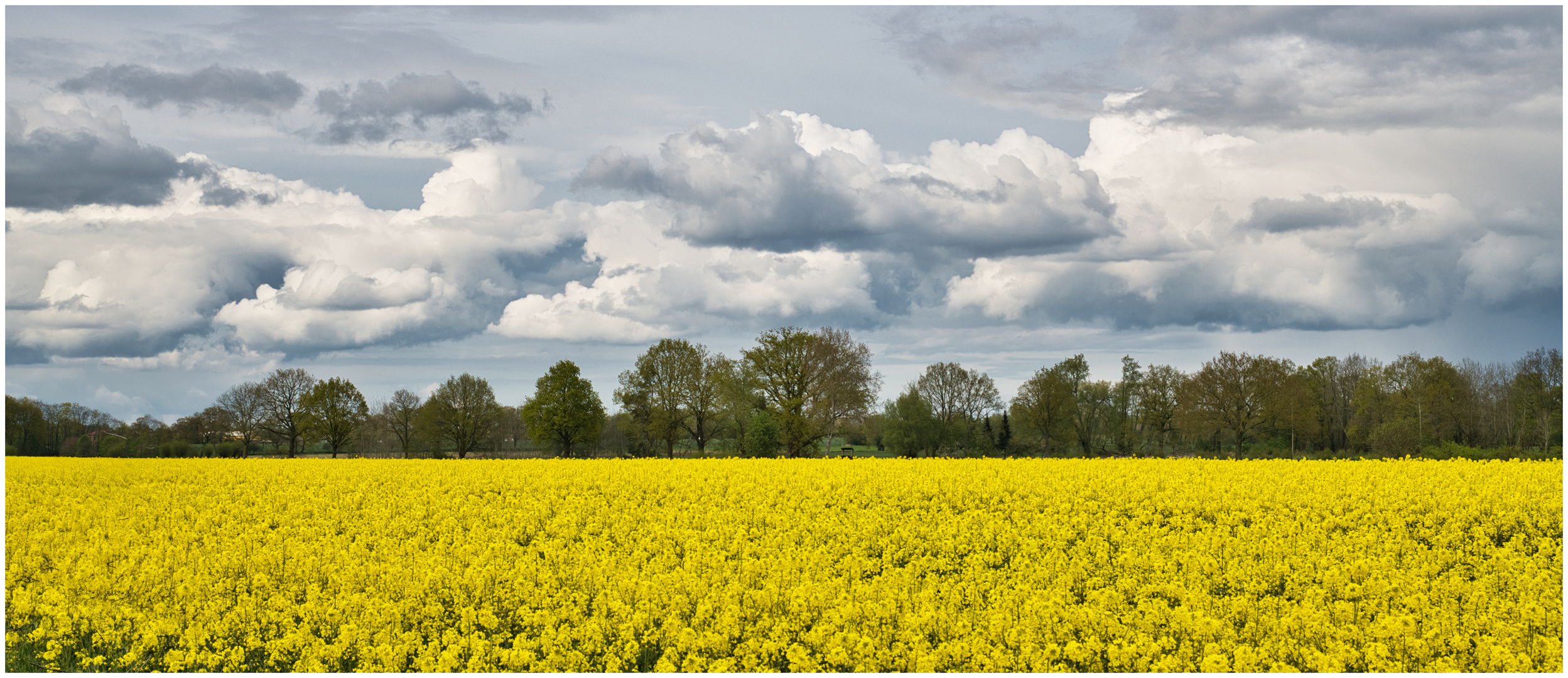 Wolken und Raps