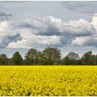 Wolken und Raps