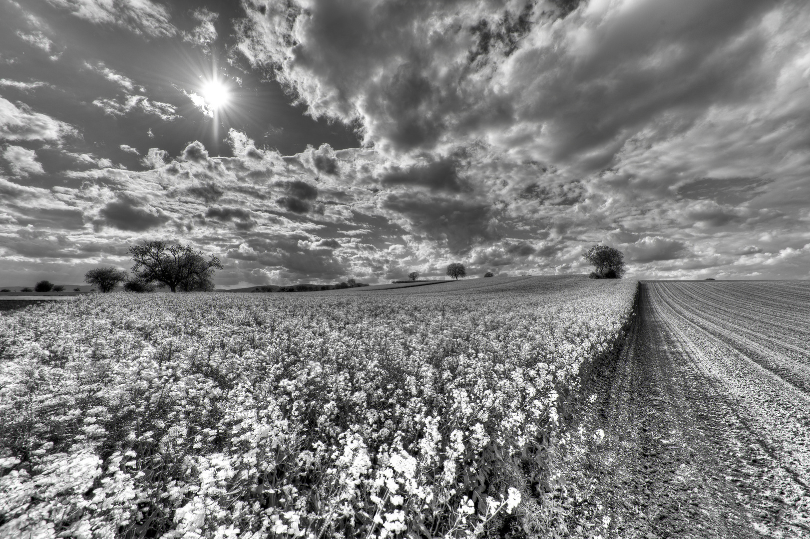 Wolken und Raps I