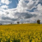 Wolken und Raps II