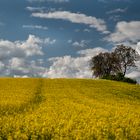 Wolken und Raps IV