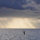 Wolken und Sonne vor Cuxhaven