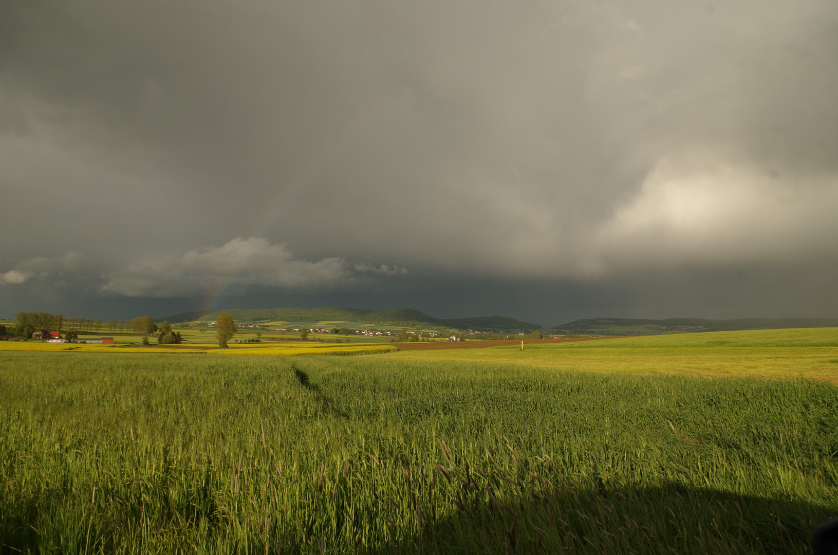 Wolken und Wiese