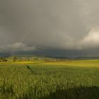 Wolken und Wiese