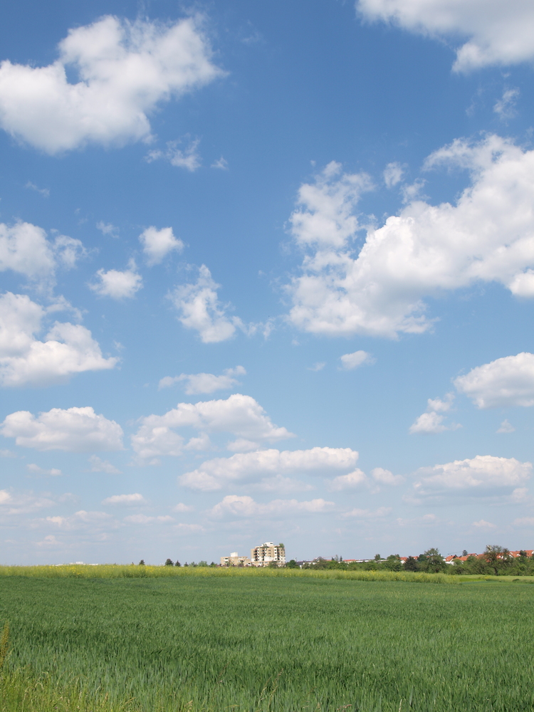 Wolken und Wiesen