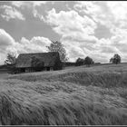 Wolken und Wind