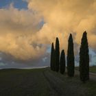 Wolken und Zypressen im Val d`Orcia