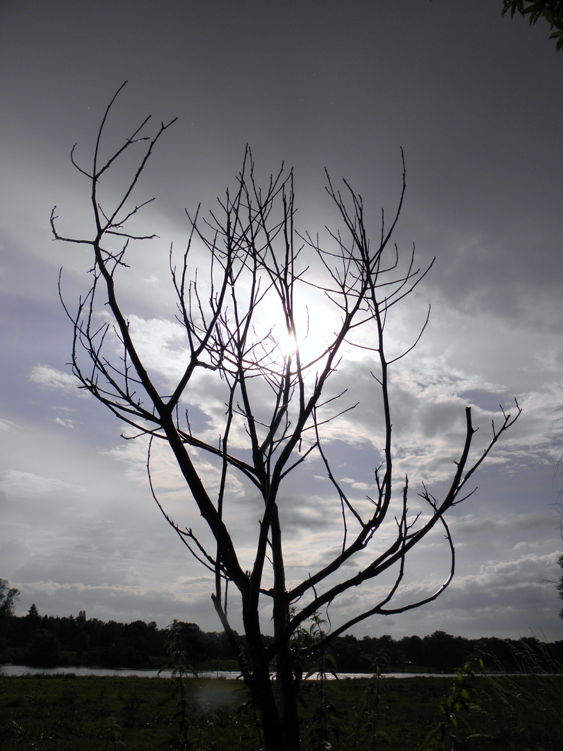 Wolken vs. Sonne