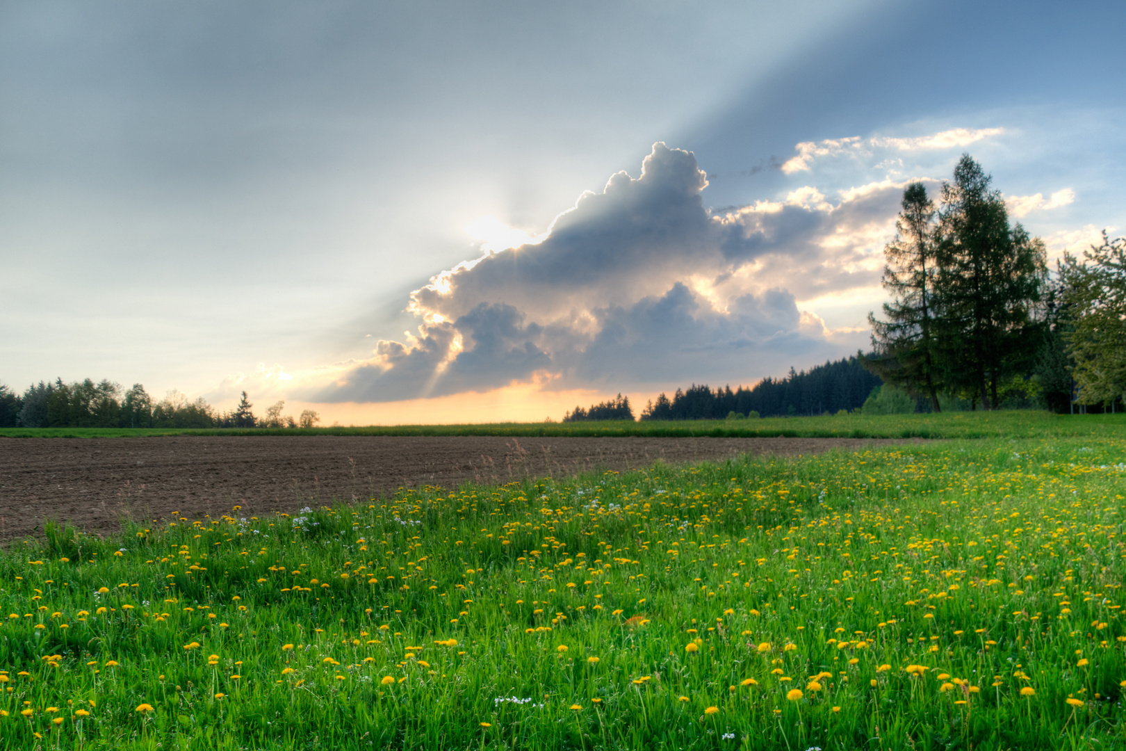 Wolken vs. Sonne II