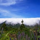 Wolken wabbern über den Berg und fallen hinab