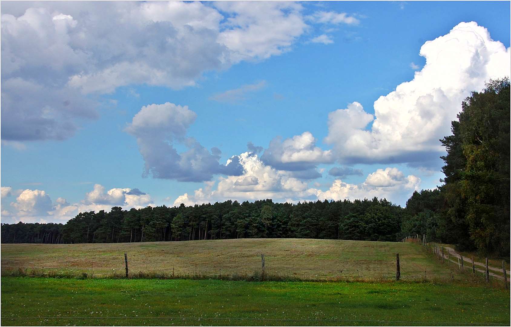 Wolken, Wald und Wiese