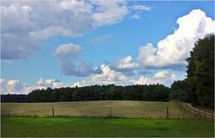 Wolken, Wald und Wiese