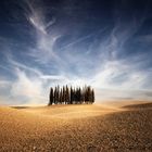 Wolken, Wald & Wellen