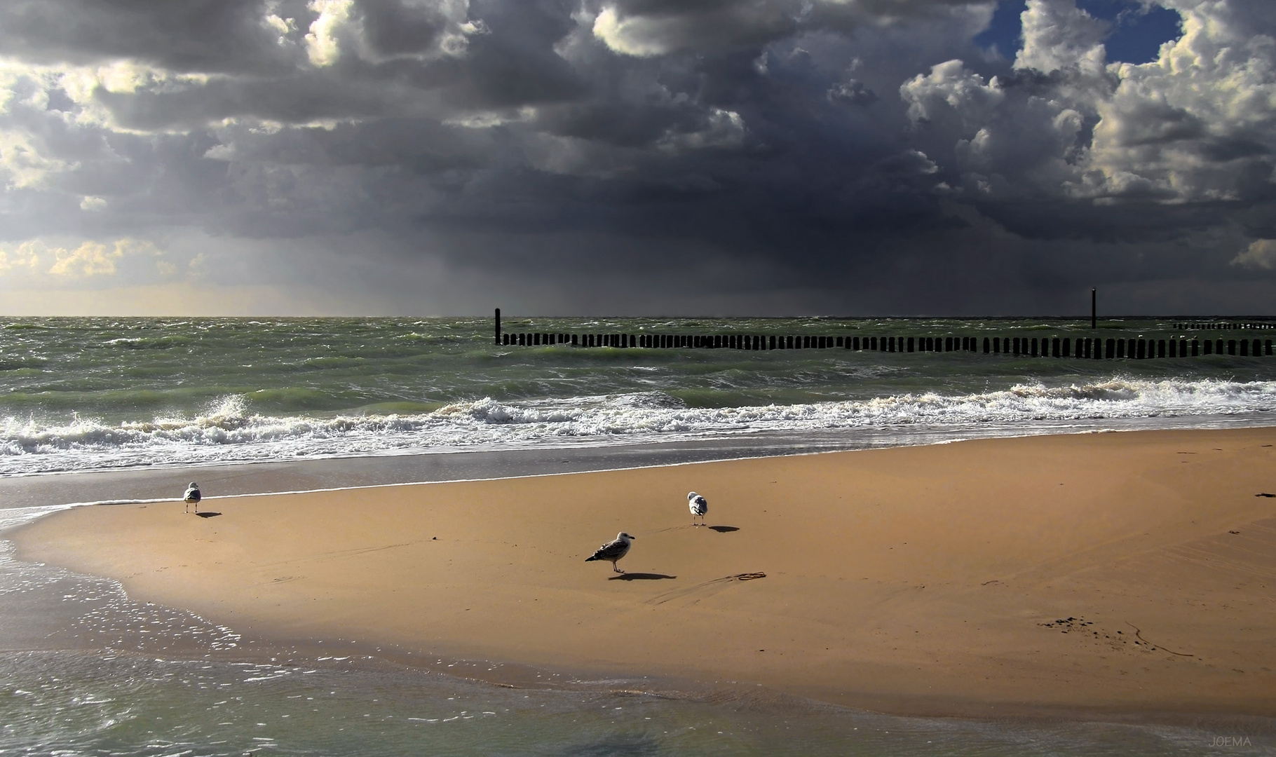 Wolken, Wasser, Möwen...