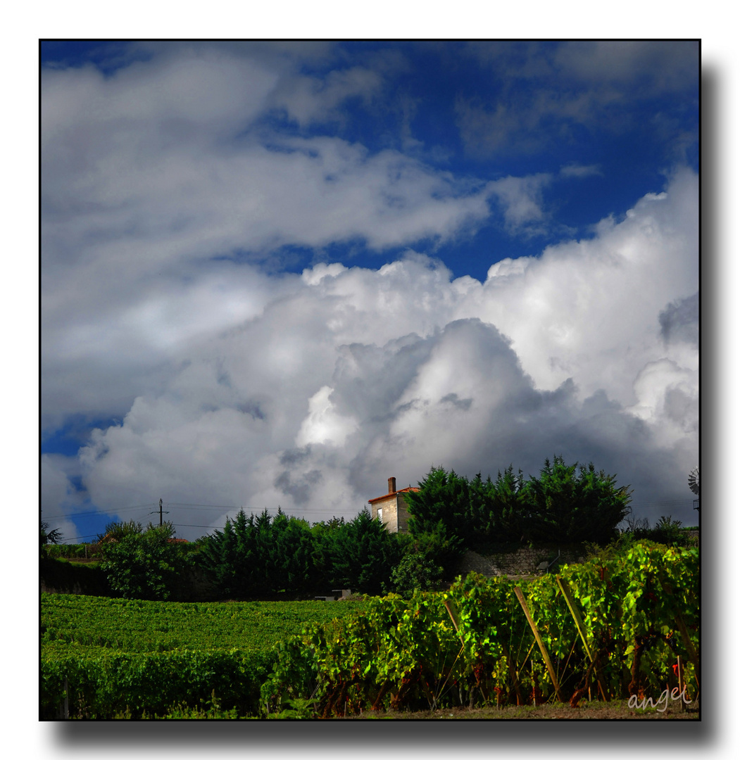 Wolken, Weinberge und ein kleines Landhaus