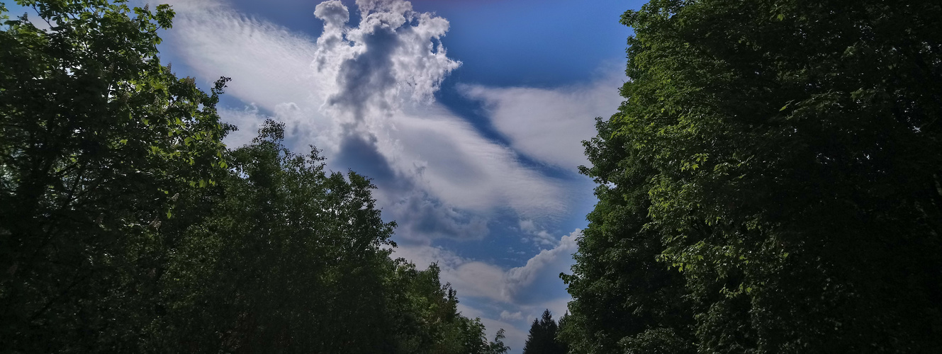 Wolken wie Wattebauschen