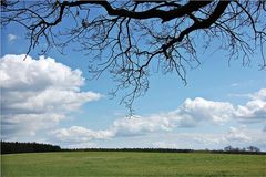 Wolken, Wiese, Wald