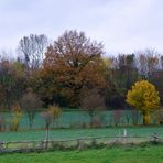 Wolken, Wind und Regen.