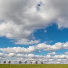 Wolken, Wolken und noch mehr Wolken...