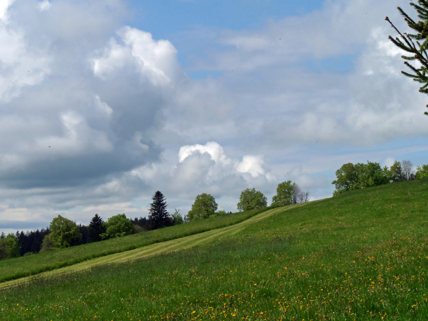 Wolken ziehen.... 