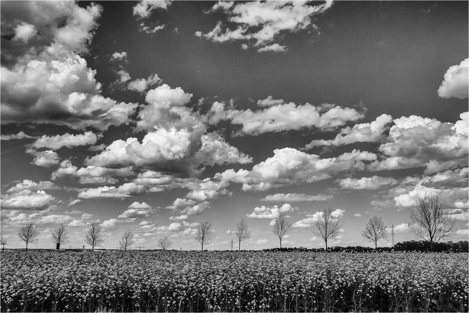 Wolken ziehen auf 1