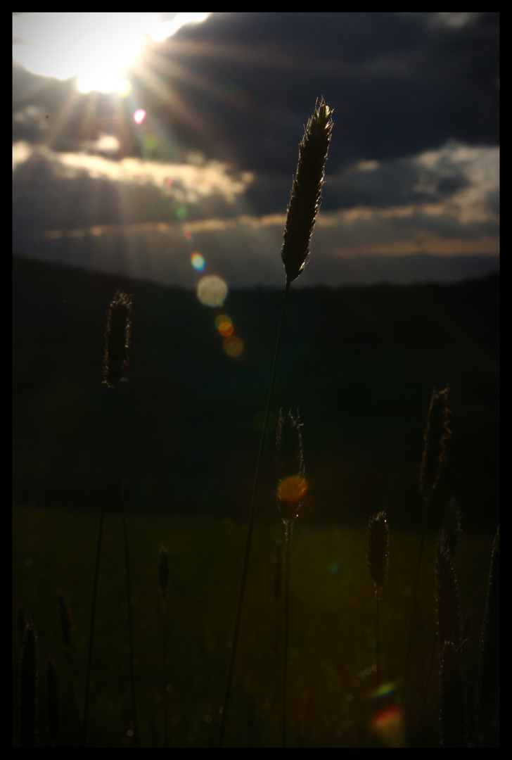 Wolken ziehen auf...