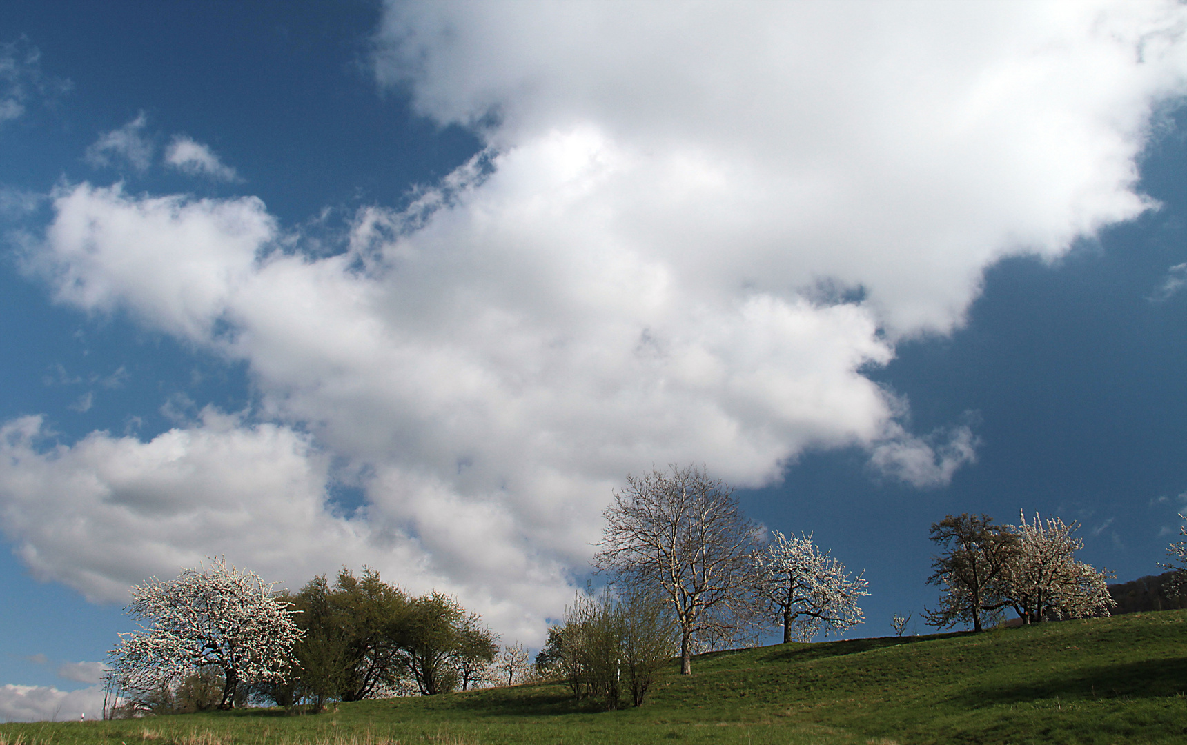 Wolken ziehen---