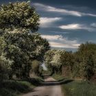 Wolken ziehen mit dem Wind ...