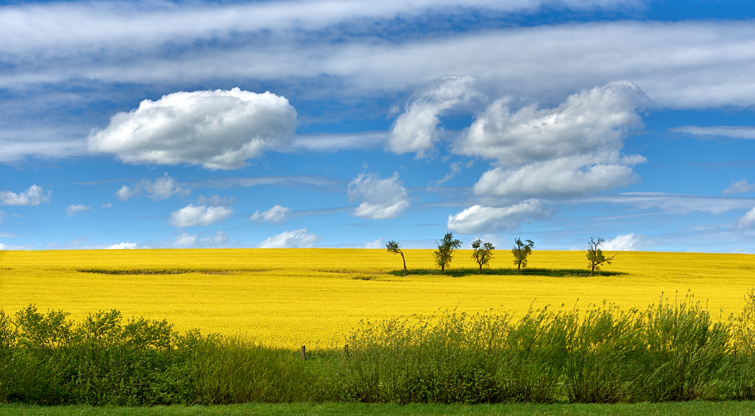 Wolken ziehen übers Land, die hier fand ich sehr passend zu der....